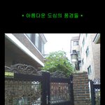 * 아름다운 <b>도심</b>의 풍경들 *