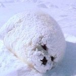 <b>님</b>들아 <b>저</b> .... ㄷㄷㄷ