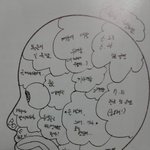 정용화가 직접 그렸다는 본인의 <b>뇌구조</b>ㅋㅋㅋ