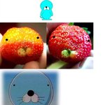 　　☆ 일본에서 <b>활동</b>하니깐 걍 <b>한</b>말이지...