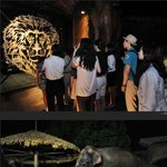 [동물원 구경] 에버랜드 초식사파리 야간<b>도보</b>체험