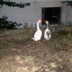 ★사진有)<b>영덕</b> 폐가 다녀온 인증샷과 그 후기