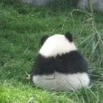 <b>진정</b>한 '숨막이는 뒷태' 모음