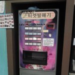 냐옹~ 고양이가 가득한 홍대 g-o-<b>cat</b> 고양이을 좋아하는 분이라면