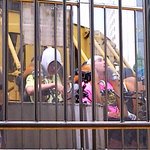 [무한도전구경후기] 프로는 프로다! *사진첨부