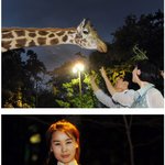 에버랜드 초식사파리 야간<b>도보</b>체험의 백미^^