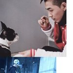 빅뱅 태양이 모시는 <b>보스</b>!