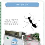예쁘다고 소문난~ <b>개미</b>마을 모습