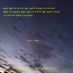 '냉정과열정사이'의 작가. 츠지 히토나리의 어쿠스틱 공연이 오늘...