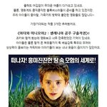 <b>올</b> <b>여름</b>방학! 가족과 함께 꼭 봐야 할 애니메이션 best 3