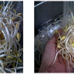 참기름에 볶지않은 시원한 북어국 ~~