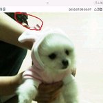 티아라 지연과 얼짱 박태준, 둘이 <b>무슨사이</b>?