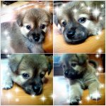 <b>복날</b>에도 안전한 우리집