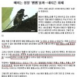 <b>매미</b>는 어떻게 울까