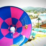 [워터파크] 캘리포니아<b>비치</b>에서 빼먹지말고 꼭 타야될 놀이기구특집...