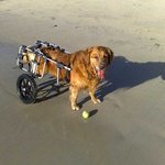 <b>달리</b>수 있어 행복합니다