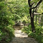 화창한 주말 오후를 꿈꾸며 *_*
