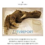 실제로도 존재할 법한 영화 속 괴<b>생물체</b>!!!