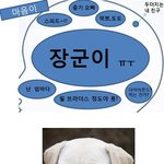 과연 그들의 머릿속에는 무엇이 들어 있는가?
