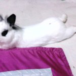 버스에서 훔쳐봤던(?)문자, 뭐지?