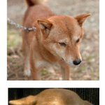 메리이야기 1탄 !