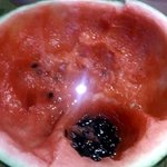 엄마가 수박을 먹는 방법