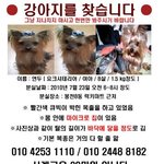 제발, 한번만 봐주세요