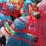 2010년 7월 신상 <b>물총</b>