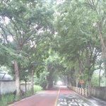 [사진,동영상有] "2편"땅끝으로 '파란만장 <b>무전</b>여행기'