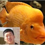 사람과 물고기 <b>쌍둥이</b>