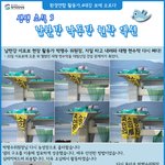 [남한강 낙동강 현장 액션]5번째 생생소식~