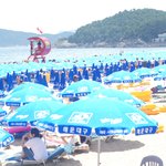 ★(사진有)해운대의 모든것★