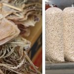 다가오는 휴가! 장거리 운전 준비는 이렇게~~~