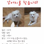'<b>울산</b>'사시는분들 한번만 봐주세요