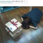 팬들 선물 엎드려 절하면서 받는 유빈이ㅋ