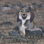 어제 있었던일 (실화) 긴장감有