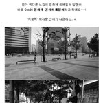 몽환적인 영화제 트레일러 발견! <b>신디</b>영화제 공식트레일러 대공개!