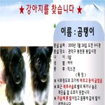 [관악구 <b>봉천동</b>]한번만 봐주세요....