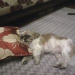 말귀는 콧구멍으로 들어야 제맛이지!