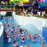 긁어 모은 캘리포니아비치 방문 시 알아두면 후회없는 정보!!!!...