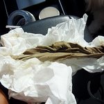 (사진,동영상有)강아지의 뱃속에서 나온 <b>물체</b>!! 그것은??!!