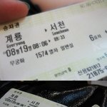 어처구니황당시츄에이션 여름바캉스?!?!?!
