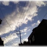 * 삶의 <b>자세</b> *