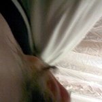 내 남치니는 개 ㅋㅋㅋㅋ (사진有)