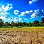 [사진有]<b>창원</b> 어느 공원에서...