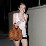 다코타 <b>패닝</b>이 즐겨드는 가방