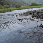 제발 쓰레기좀 치웁시다ㅠㅠ사진有