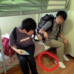 할렘에서 피자국있는 호스텔에서... ㅠㅠ (사진有)