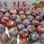 정말 사먹을게 하나 없는 세상이네요