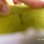 <b>멀티</b>114 신발사건!(인터넷으로 신발사시는분 필독영!!)